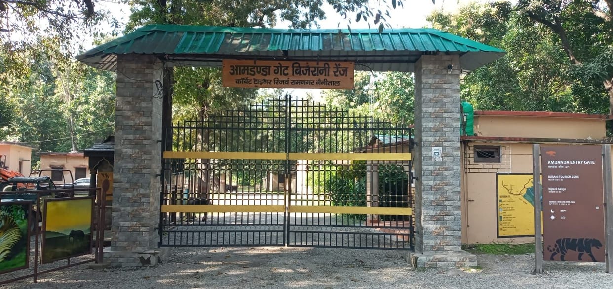 Tourists will do jungle safari in Corbett from today