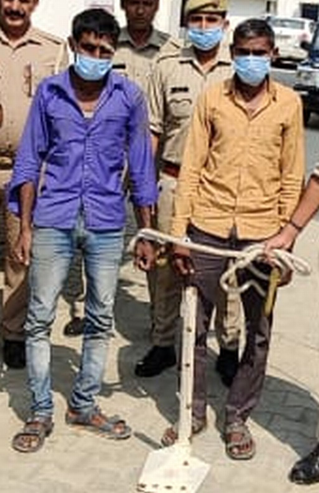 Both the accused of killing the younger brother's wife and his sister were jailed