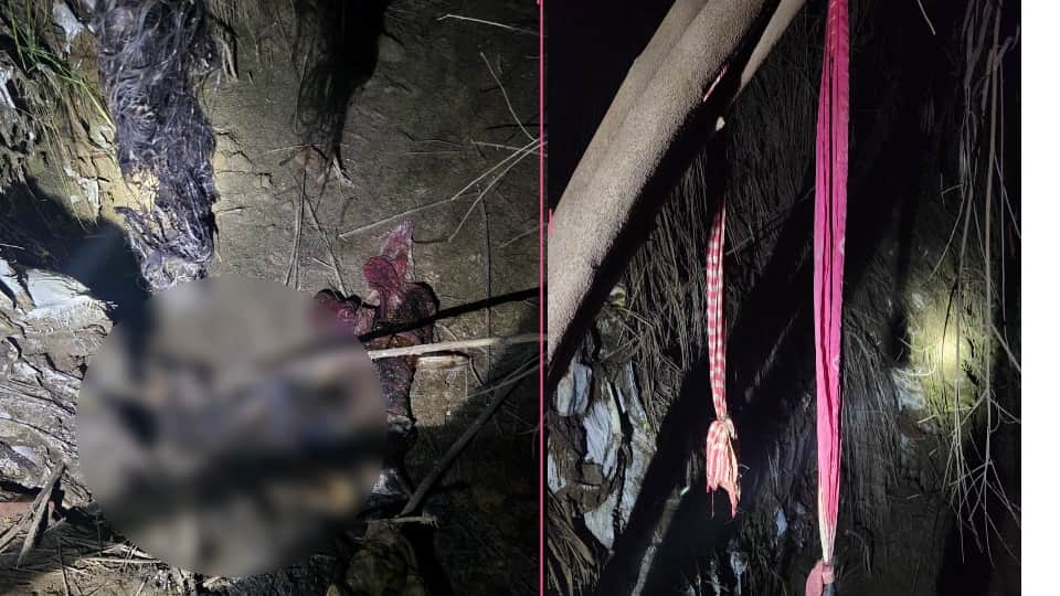 Haridwar News: Skeletons of a young Boy and Girl Found near a field in Sidcul Area