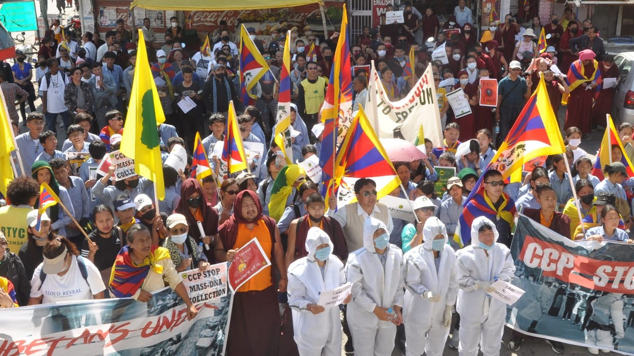 tibet freedom movement:  protest in dharamshala against communist party of china