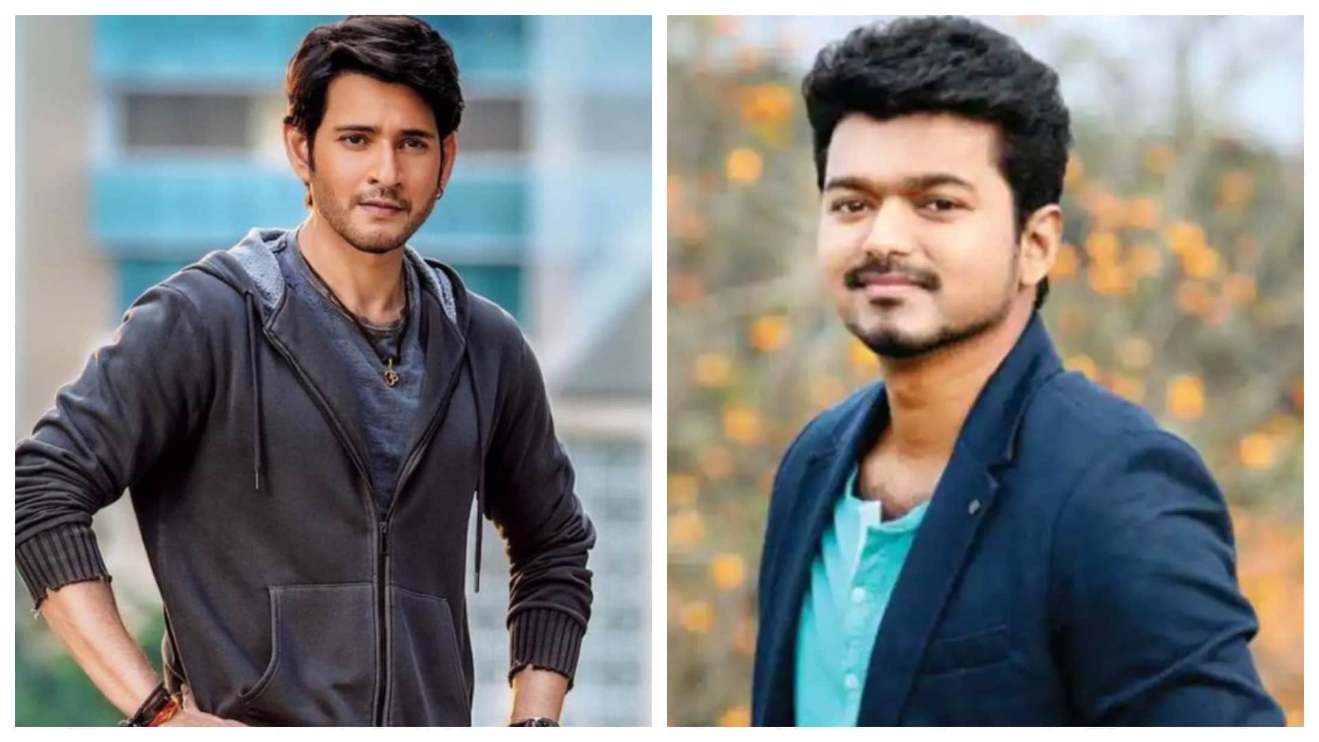 MS Dhoni Plans to Cast Thalapathy Vijay and Mahesh Babu in His Production House Movie