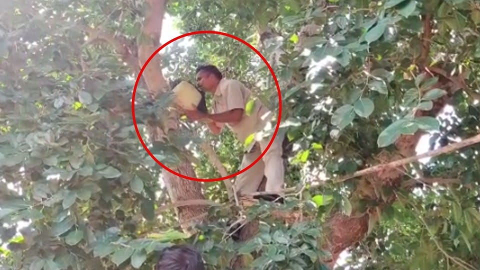 Madhya Pradesh: New way of hiding liquor in Niwari