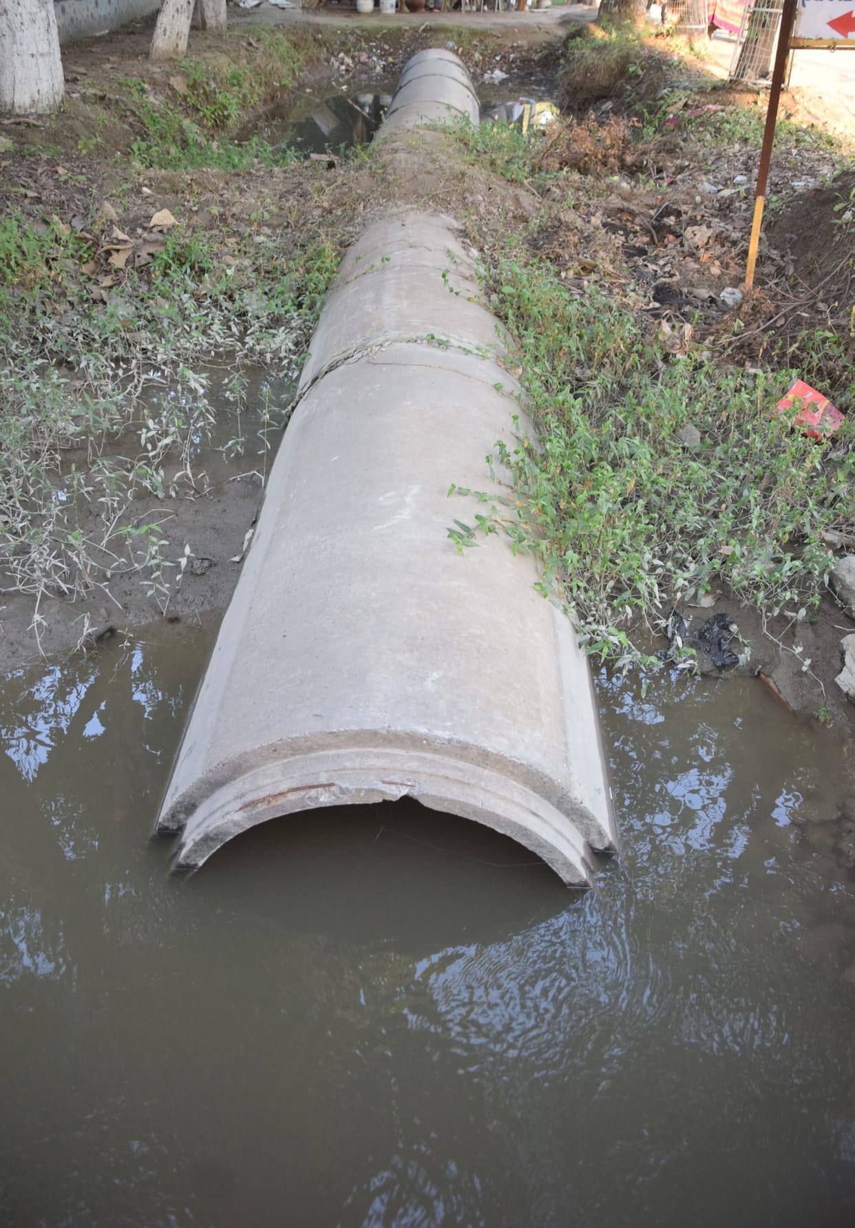 Shrubs and dirt accumulated in Rajbahe, how to fill water tank of water house