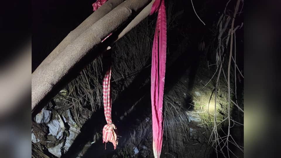 Haridwar News: Skeletons of a young Boy and Girl Found near a field in Sidcul Area