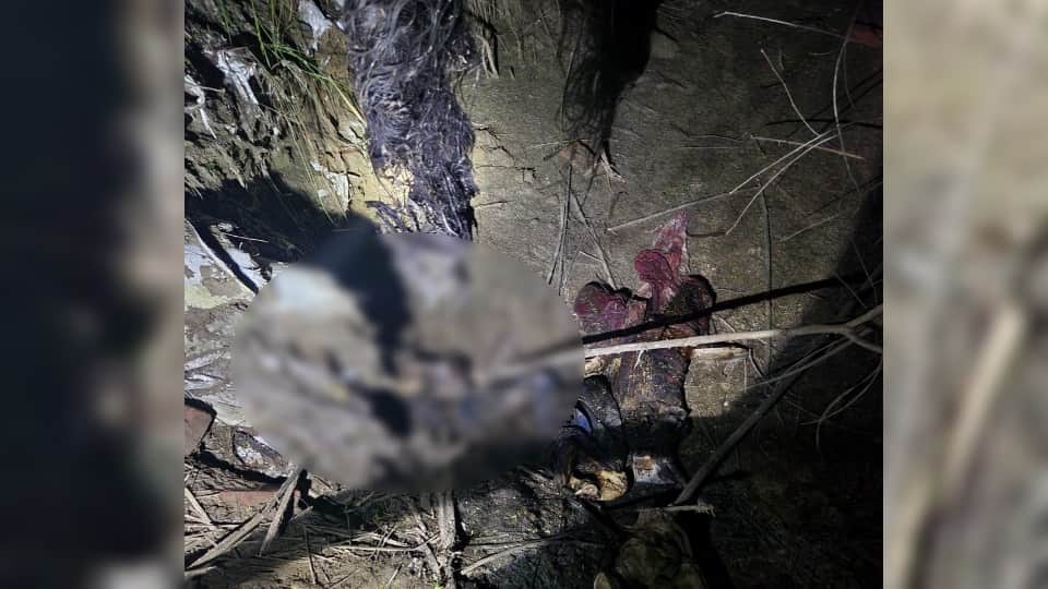 Haridwar News: Skeletons of a young Boy and Girl Found near a field in Sidcul Area