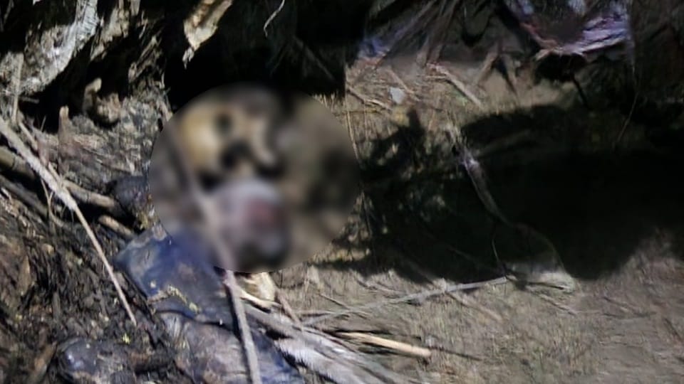 Haridwar News: Police will do DNA test of Boy and Girl Skeletons