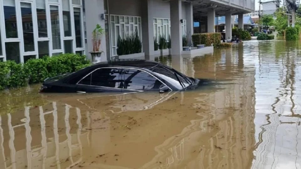 Eight people lost their lives in rain related incidents in Telangana weather news and updates
