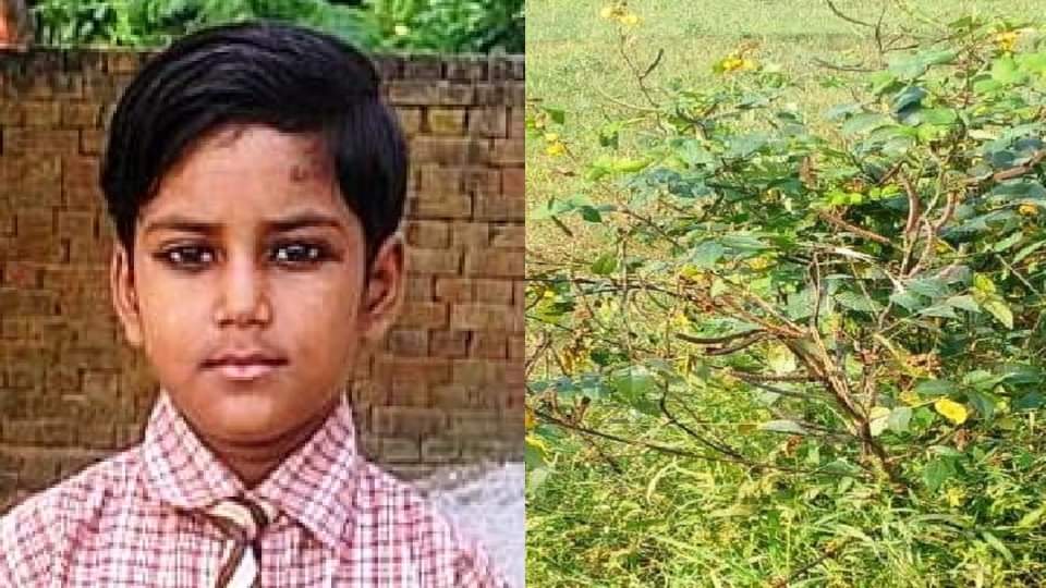 Two daughters died on Ahoi Ashtami mother became unconscious