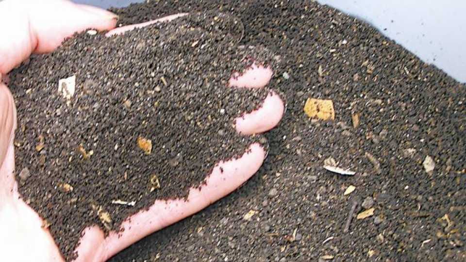 Farmers facing shortage of fertilizers in Haryana