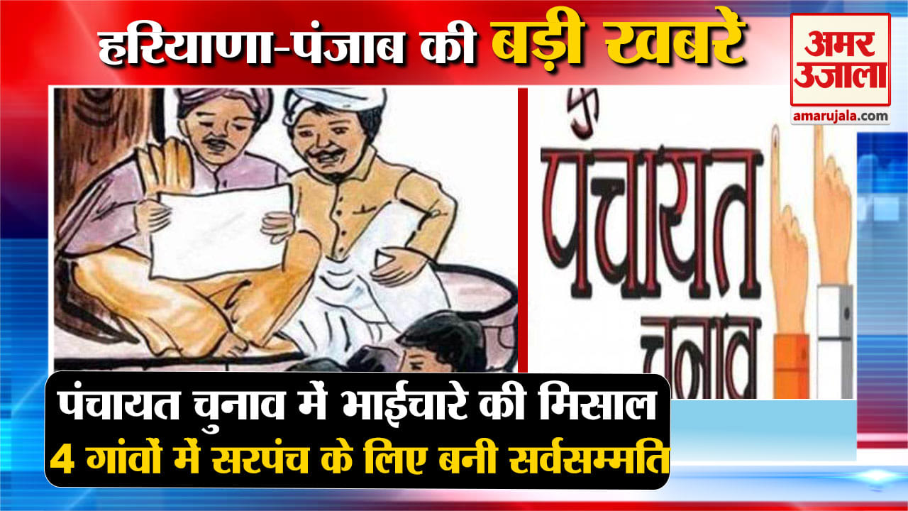 हरियाणा न्यूज
