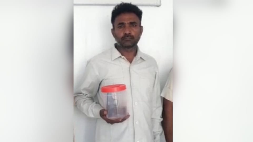 Ex-serviceman shot two nephews in land dispute in Rewari