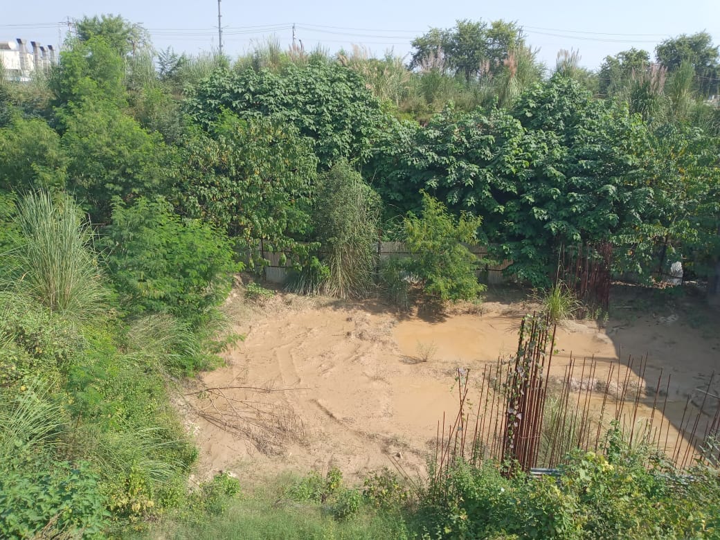 Haridwar News: Police will do DNA test of Boy and Girl Skeletons