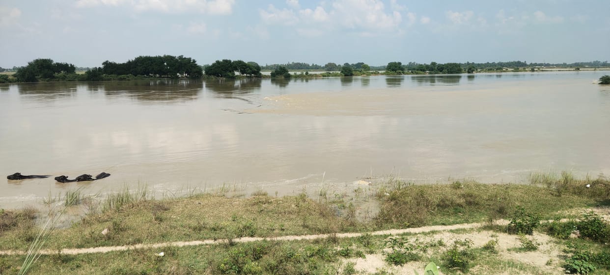 Rapti river water increased by five centimeters in 24 hours