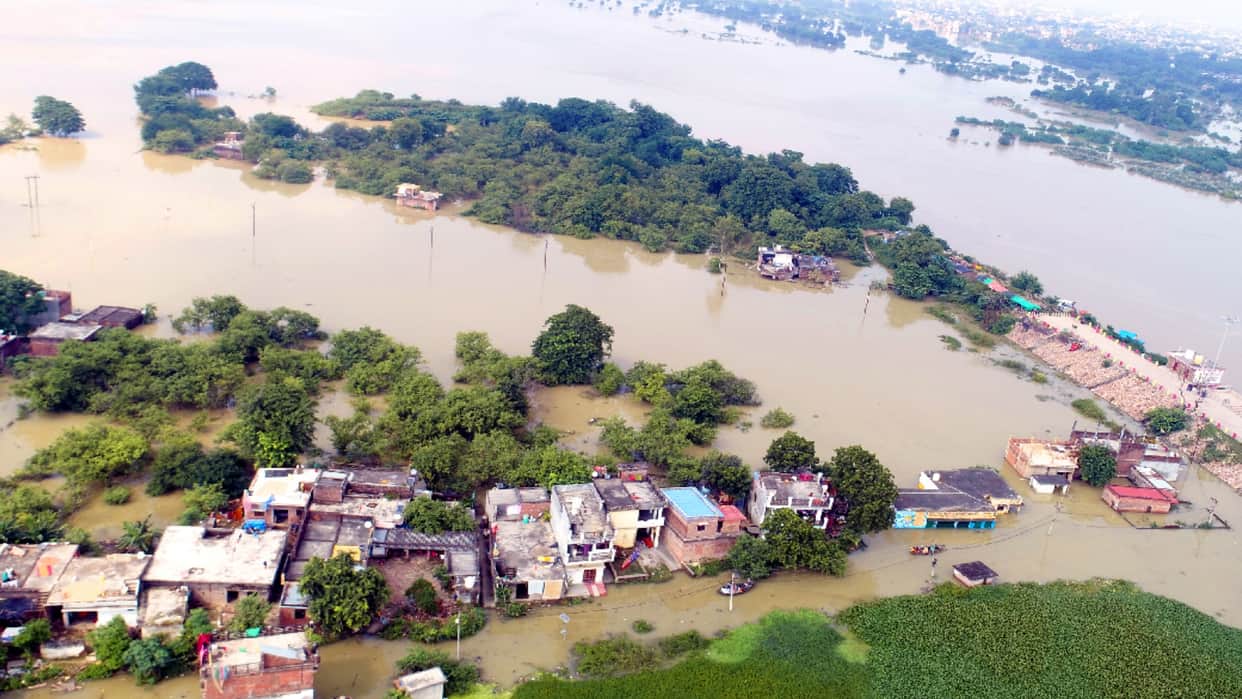 Paddy crop ruined in Cachar 15 km from Saryu river in Gorakhpur