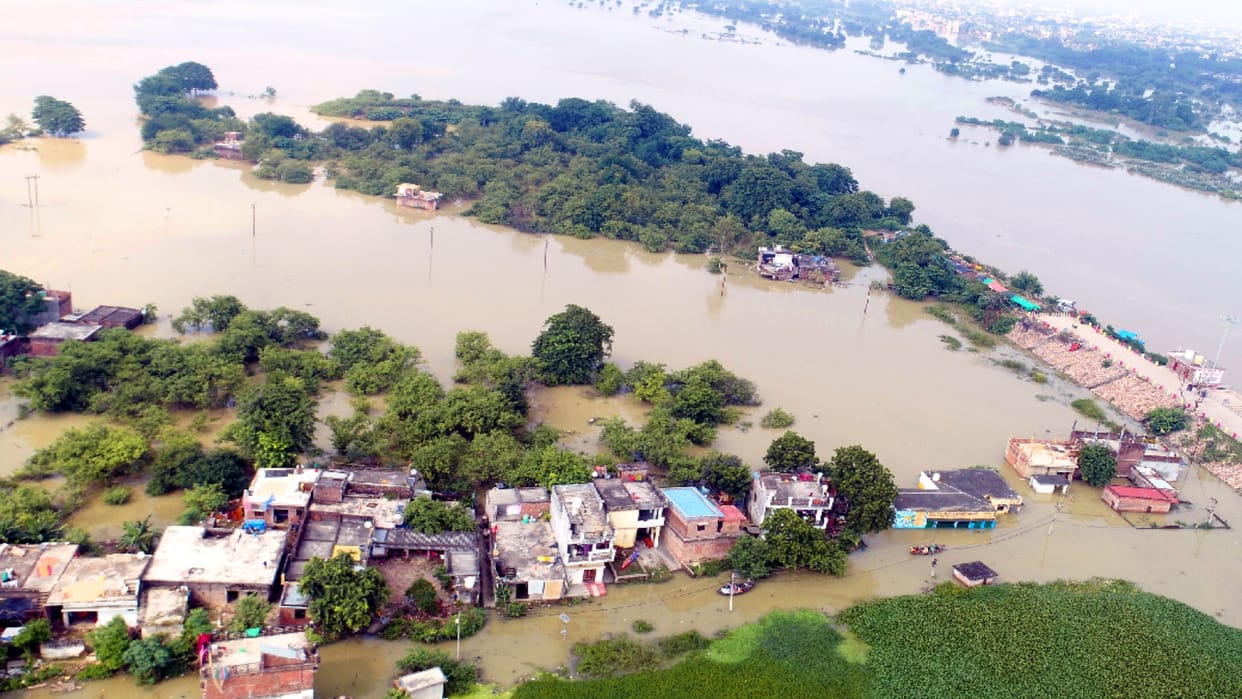 Paddy crop ruined in Cachar 15 km from Saryu river in Gorakhpur
