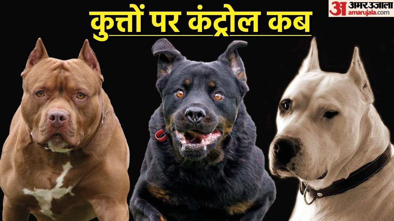 Dog Attack A one year old girl injured by dog in vijaynagar Ghaziabad got 115 stitches