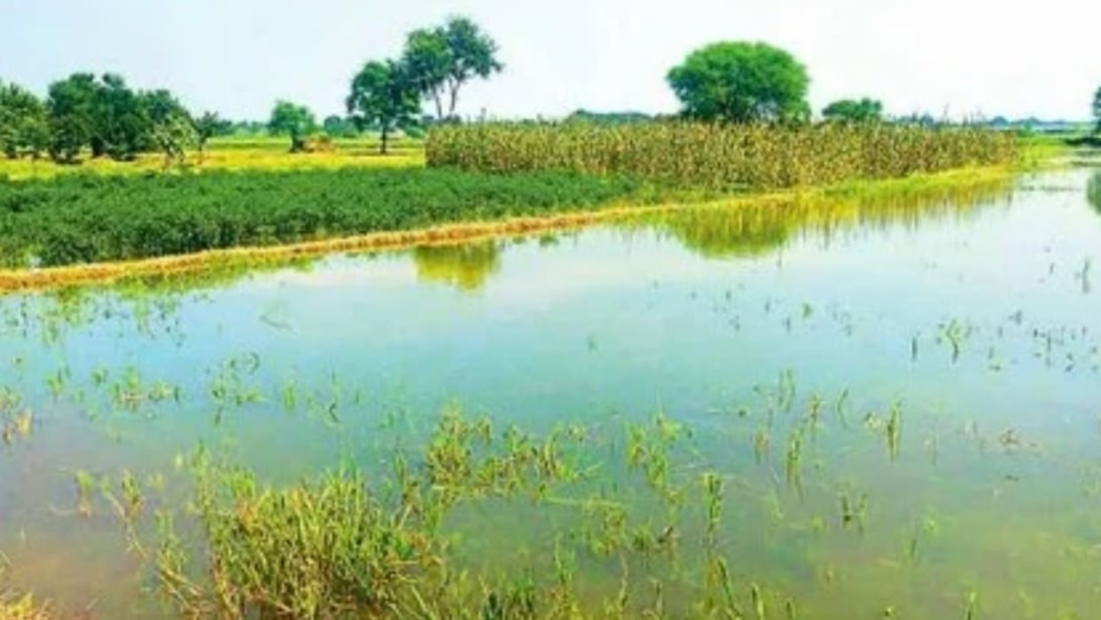 Raebareli: The water of the Ganges hovers beyond the warning point, the danger of flooding
