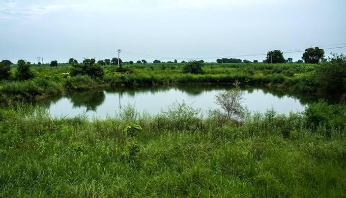 Adjacent to the city, the condition is still bad