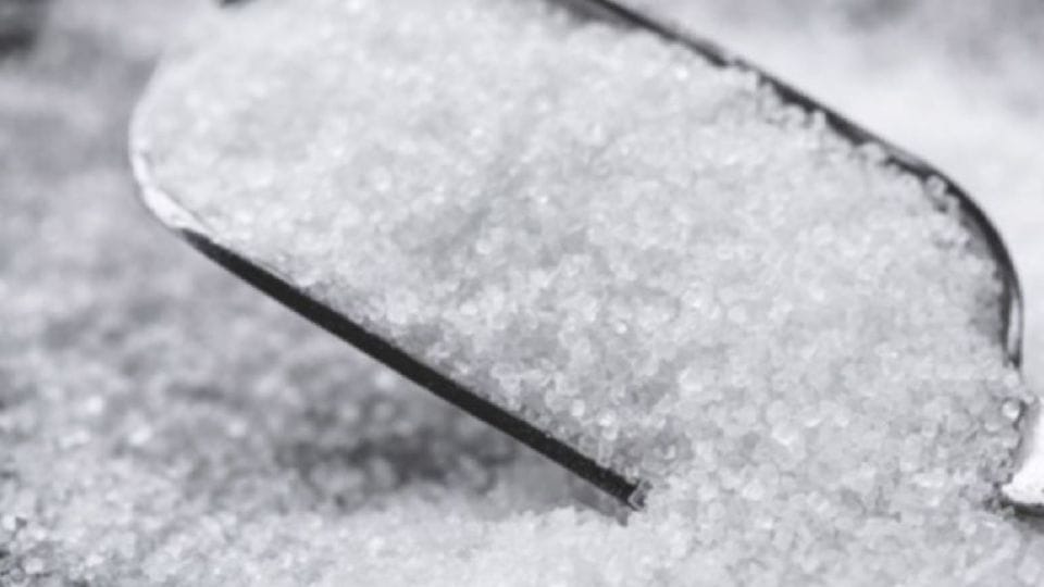 IIT Guwahati researchers develop method to prepare safe sugar substitute from sugarcane waste