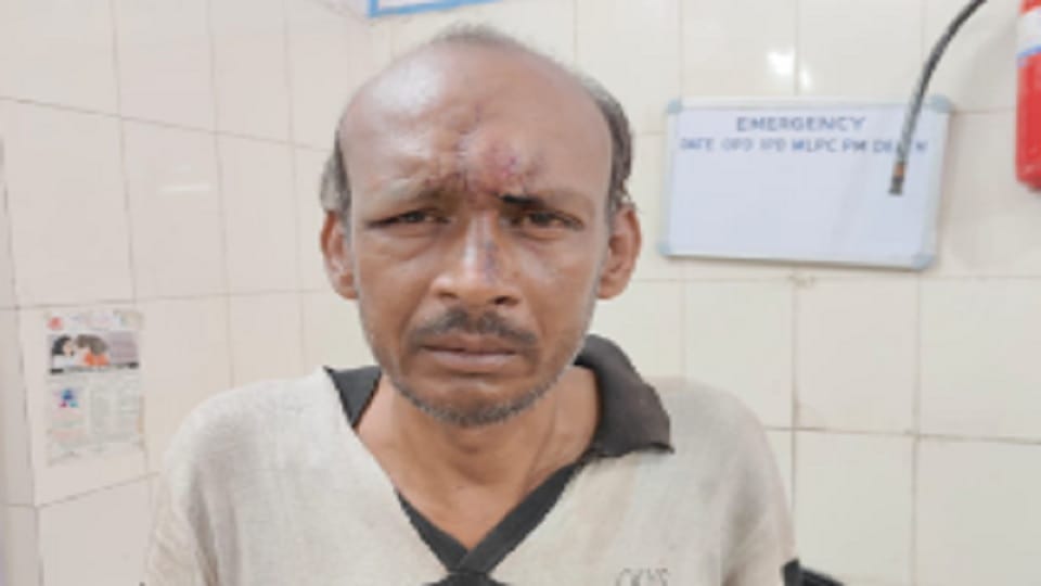 Bareilly : drunkard killed elderly mother by stabbing her with a knife