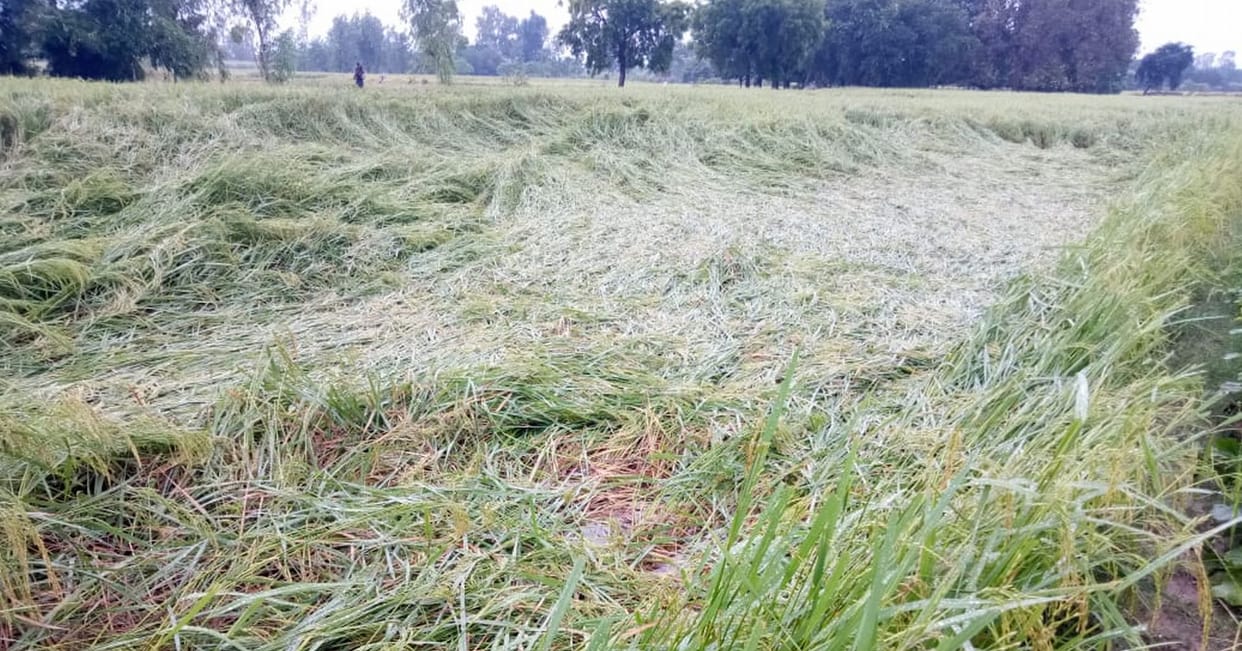 Crop loss survey could not be started, assessment will deteriorate