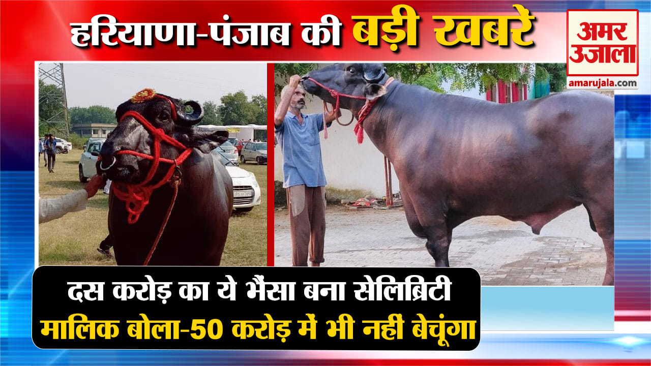 हरियाणा न्यूज