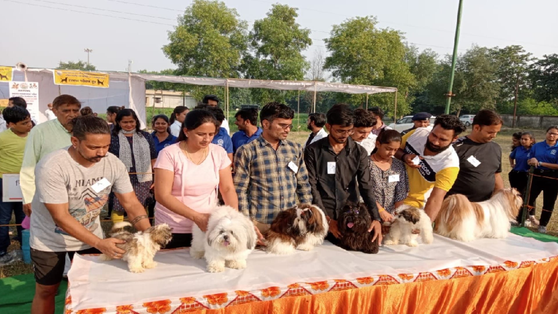 Golu-Two booms the Kisan Mela Meerut, price is ten crores, eats ghee and dry fruits