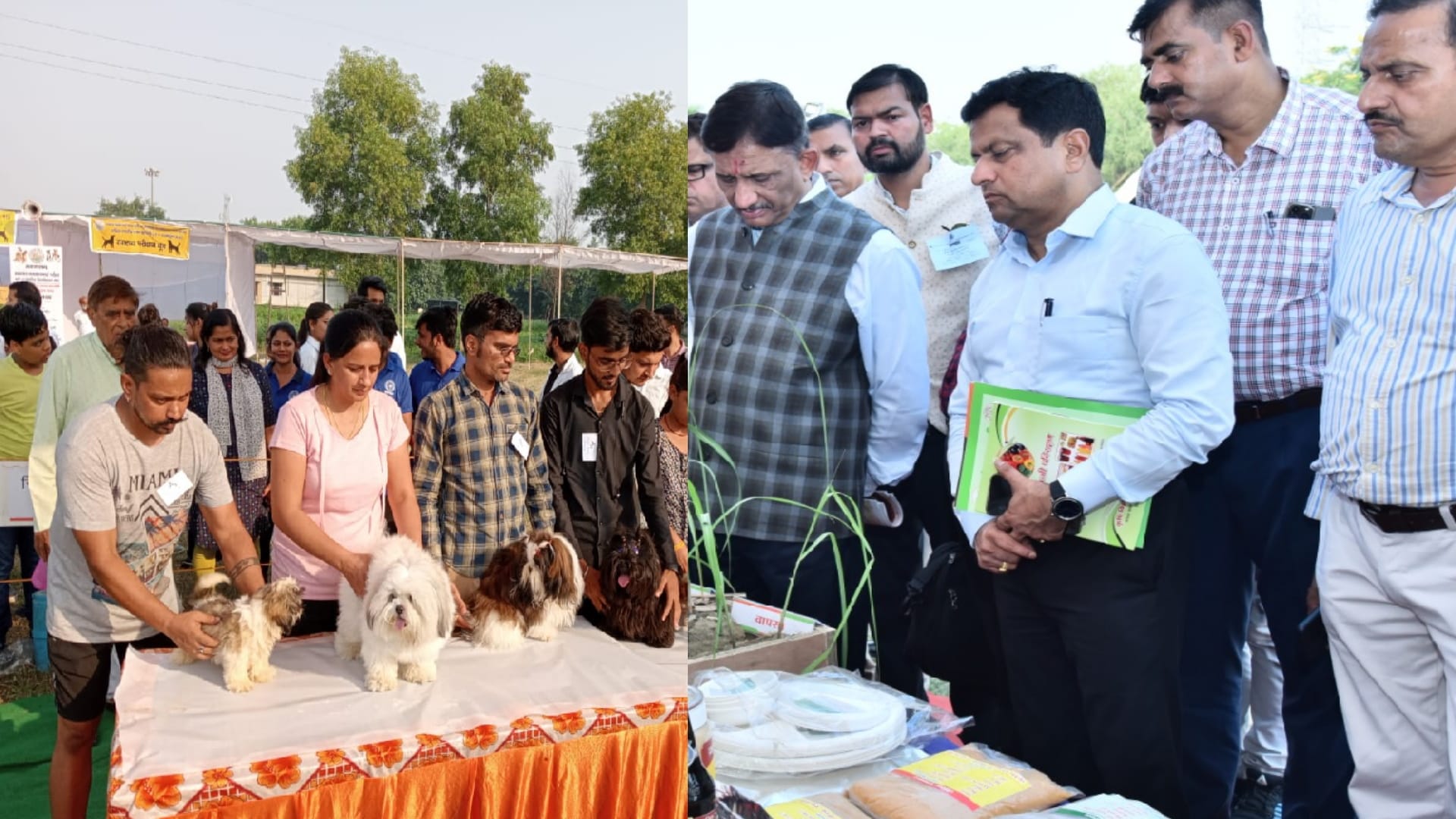 Golu-Two booms the Kisan Mela Meerut, price is ten crores, eats ghee and dry fruits