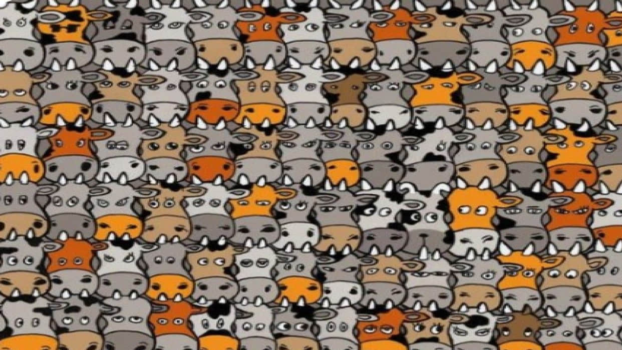 Optical Illusion Images Find Out Hidden dog from Picture Check Your Brain IQ Google Trends