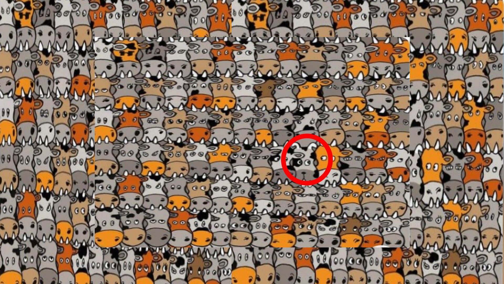 Optical Illusion Images Find Out Hidden dog from Picture Check Your Brain IQ Google Trends