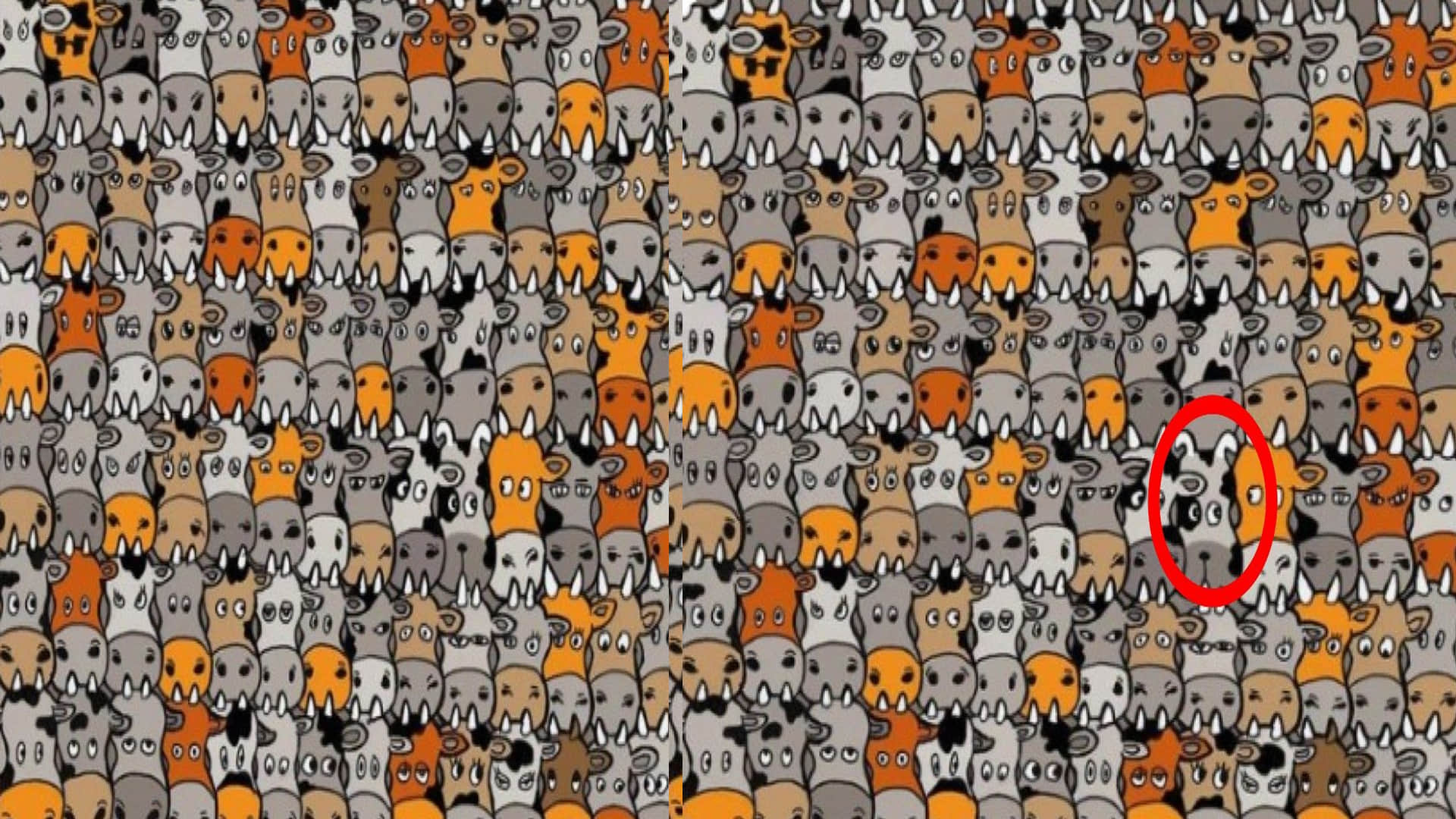 Optical Illusion Images Find Out Hidden dog from Picture Check Your Brain IQ Google Trends