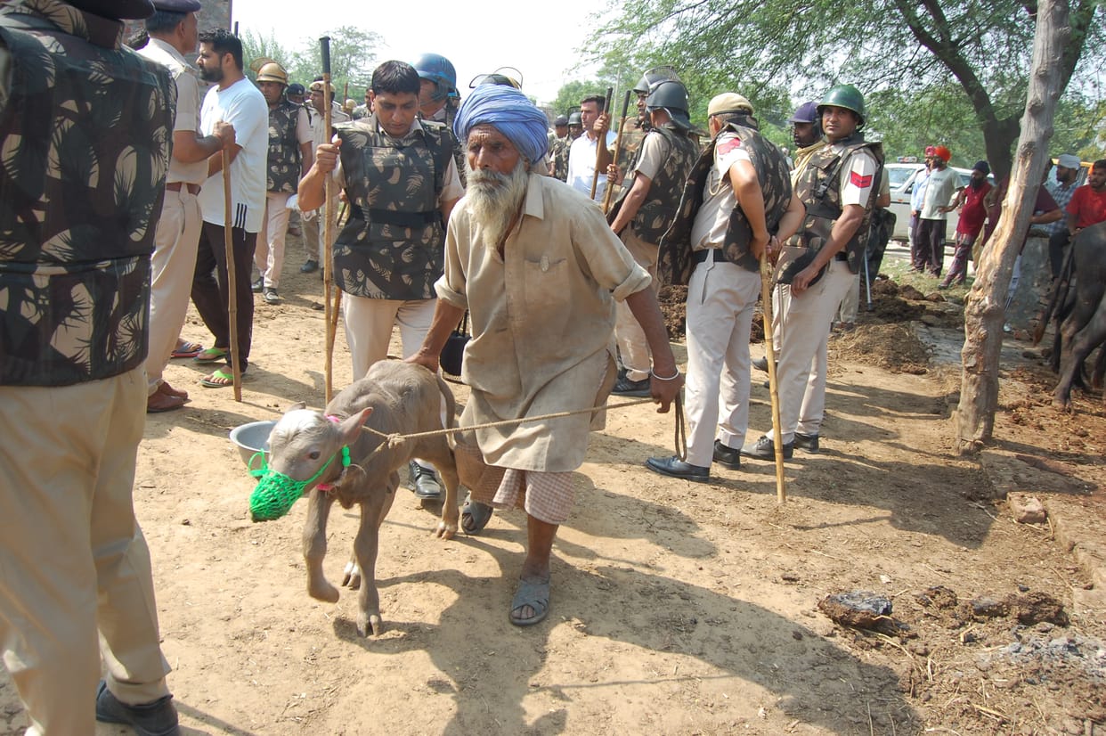 The house, animal barn, was built with the money of drug smuggling, demolished amidst protests