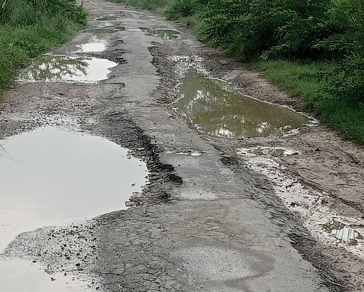 399 roads got damaged due to rain
