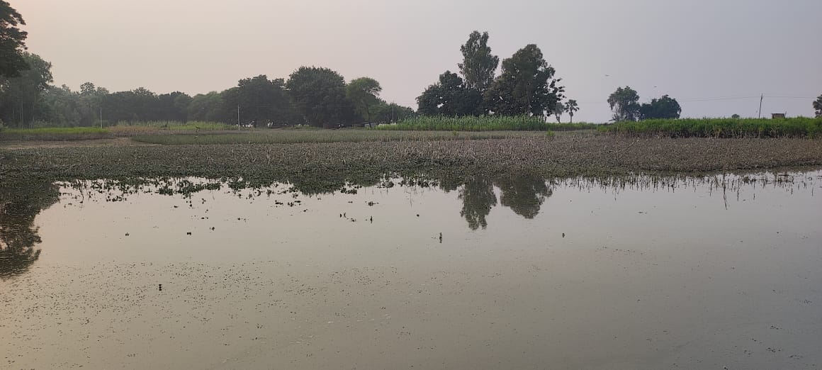 Saryu's water level is decreasing, still 33 cm above danger point
