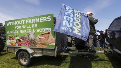 New Zealand plans to tax cow burping, Farmers on streets against this