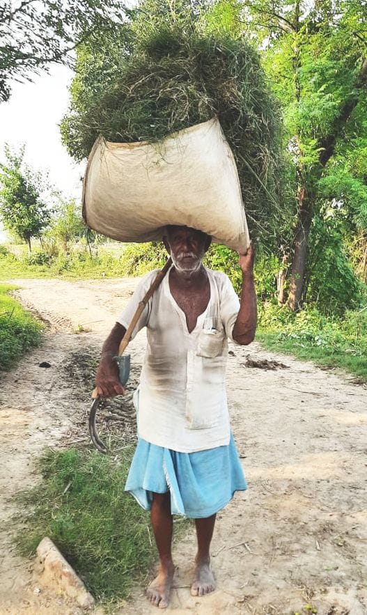 Hardoi, School building washed away in flood, many bigha crops submerged