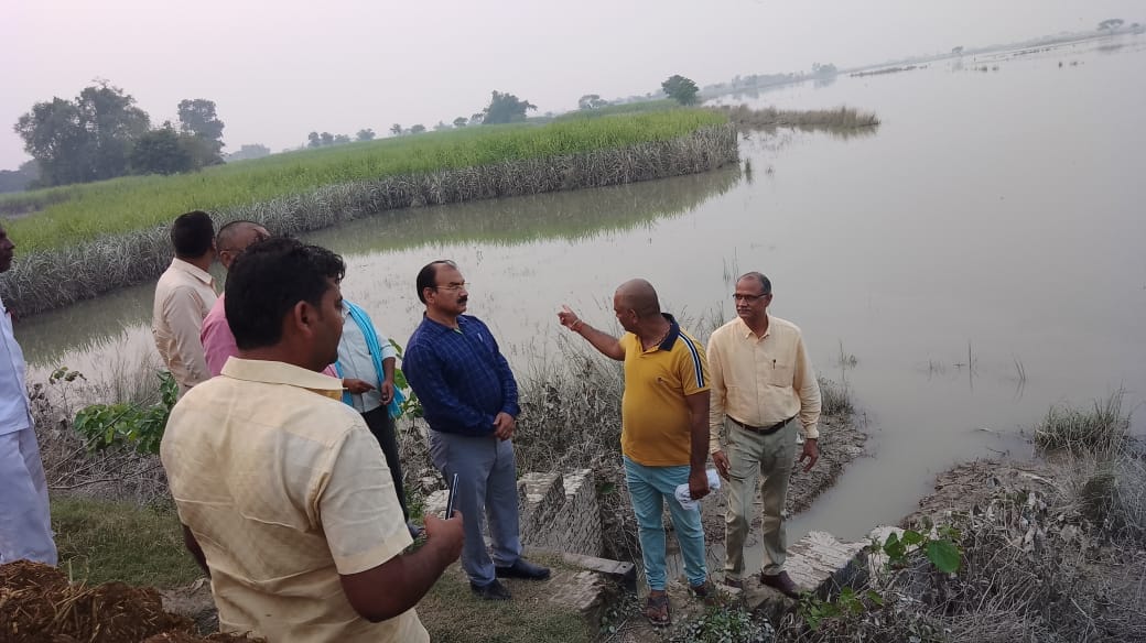 1600 hectares of sugarcane area in 117 villages affected due to flood