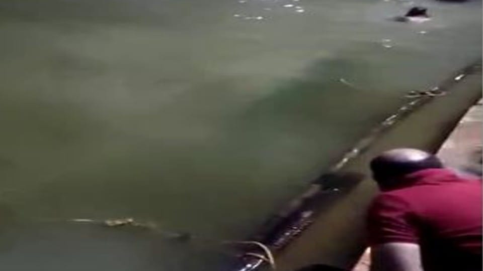 Suddenly the colour of water turned white in Radharani Kund in Mathura