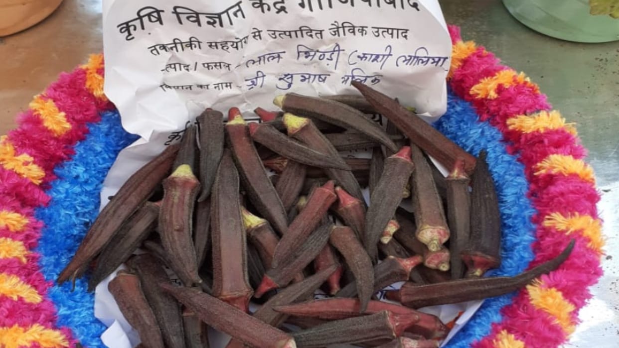 Meerut Kisan Mela news, Red lady finger attracted people and pickle aunt is being praised a lot
