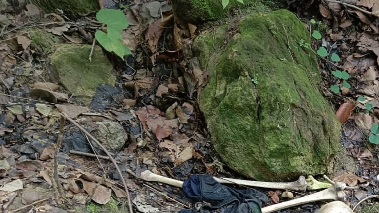 Human skeleton found in Jatapahar of Lemru of Korba family identifies