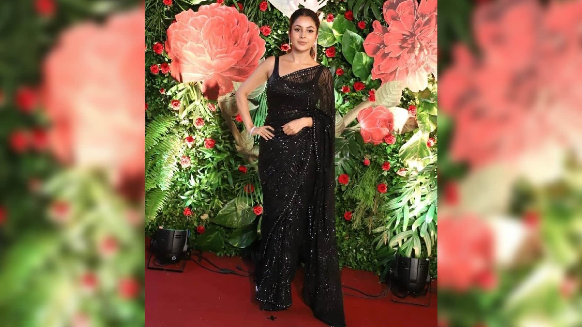 shehnaaz gill stuns in black sheer saree for ramesh taurani diwali party 2022