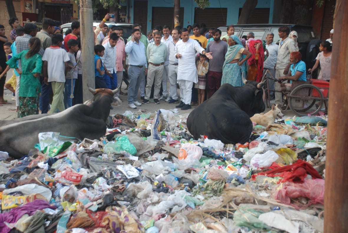 Uproar over throwing garbage on the road