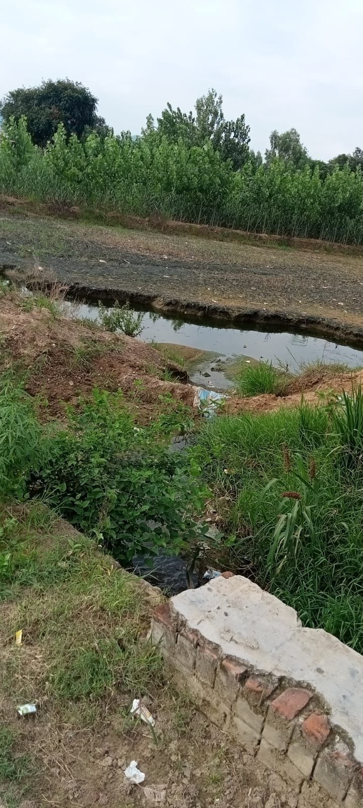 Panchayats could not get the solution of water drainage in Nathanpur Buddi for two decades