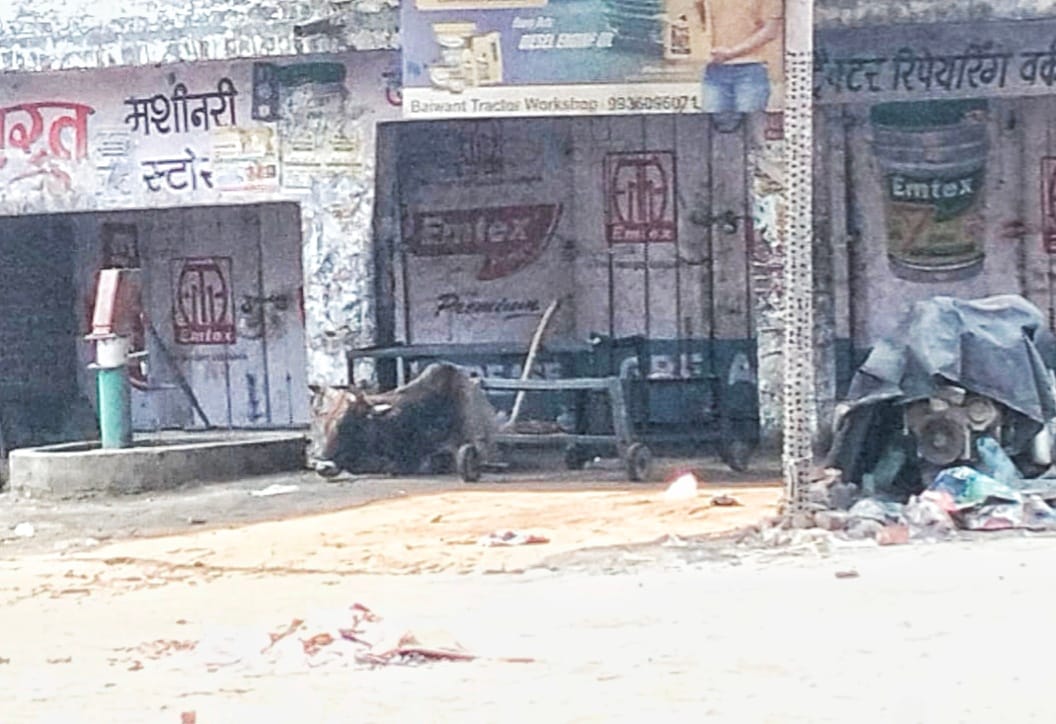 A bull attacked villagers in Khutar,Shahjahanpur two people injured