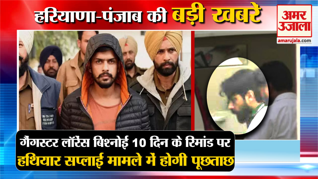 हरियाणा न्यूज