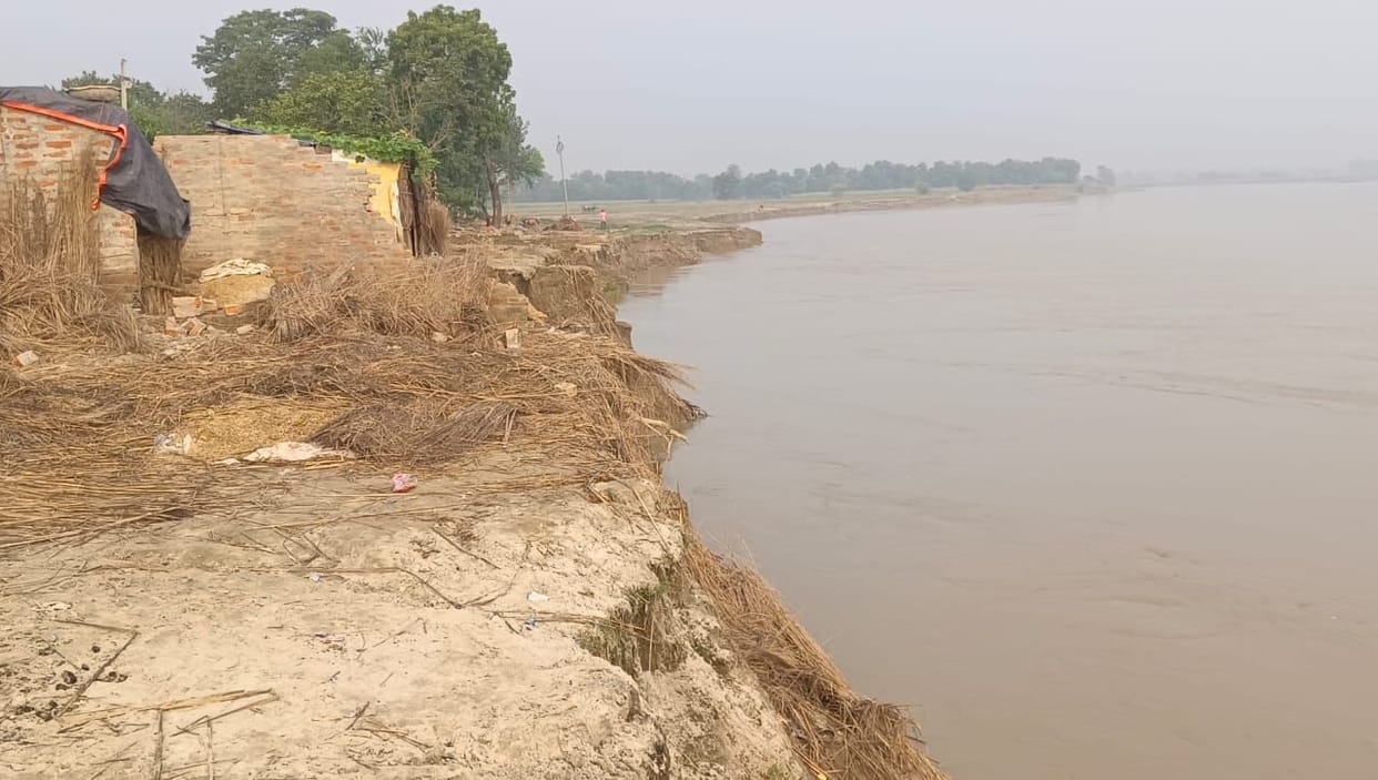 Harvesting intensified in Jogia village