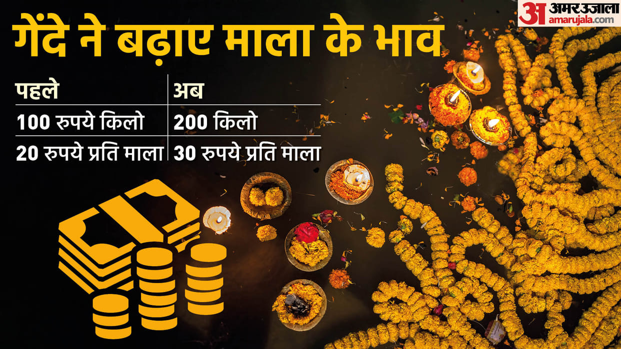 genda flowers become expensive Rs 200 per kg in Ghazipur Mandi