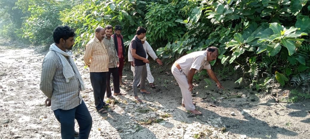 Leopard's footprint showed, panic in villages