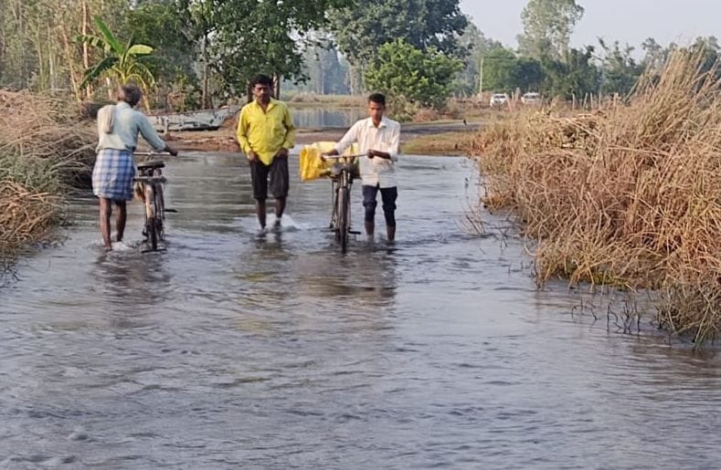 Flood continues, night is cutting with mosquitoes