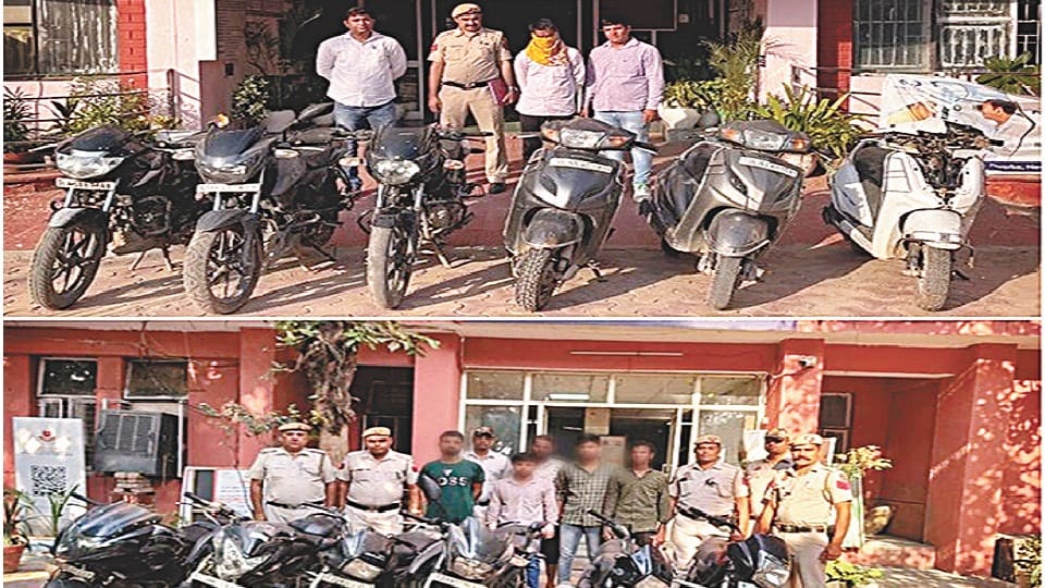 Delhi Police expose gambling center in Ashok Vihar 157 people including 36 women arrested